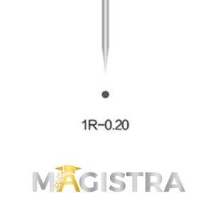 MAGISTRA Module