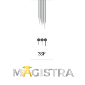 MAGISTRA Module