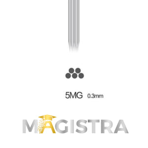MAGISTRA Module