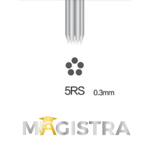 MAGISTRA Module