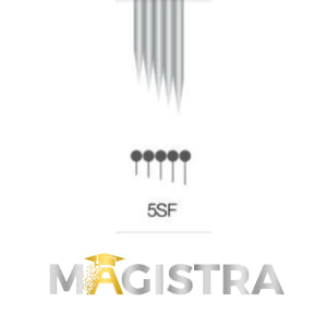 MAGISTRA Module