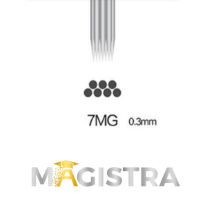 MAGISTRA Module