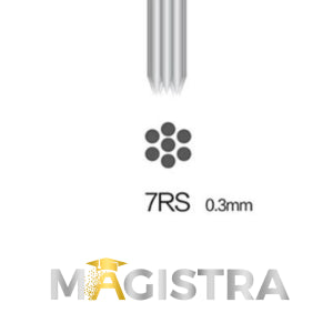 MAGISTRA Module